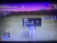 IMG_2003.jpeg